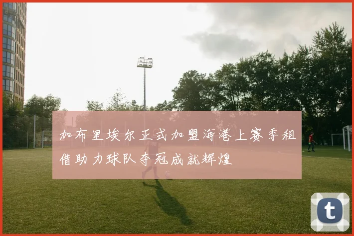 加布里埃尔正式加盟海港上赛季租借助力球队夺冠成就辉煌