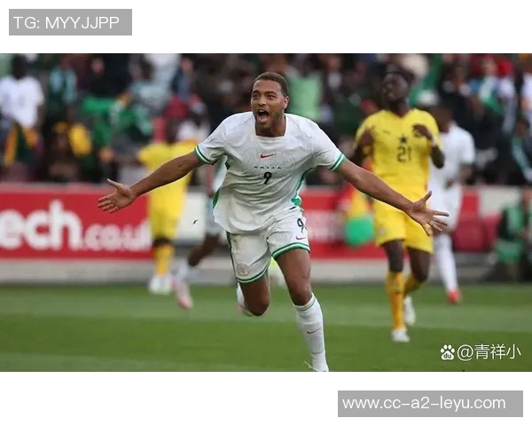 贝宁足球队逆袭南非和尼日利亚若末轮获胜将历史首次晋级世界杯 贝宁足球队逆袭南非和尼日利亚若末轮获胜将历史首次晋级世界杯